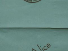 -Cafe Alice咖啡爱丽丝(奥城店)