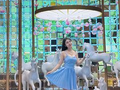 -北京康莱德酒店