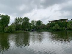 -溱湖国家湿地公园