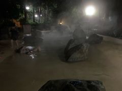 -鱼凫国都大酒店温泉