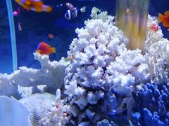 -乌鲁木齐海洋馆
