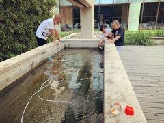 -廊坊固安福朋喜来登酒店