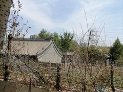 -护国天仙圣母庙