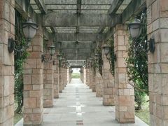 -南国桃园旅游度假区