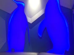 -米乐星世界KTV