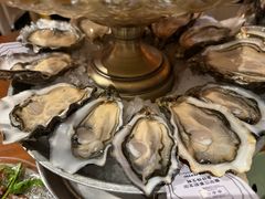 环球生蚝-Osteria Garden 生蚝花园餐厅(原进贤路店)