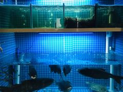 水产区-锅来乐地锅鸡(安亭店)