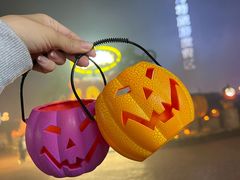 -郑州方特梦幻王国