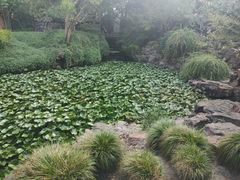 -上海醉白池公园