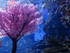 -海合安武汉极地海洋公园