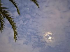 -海沧湾公园