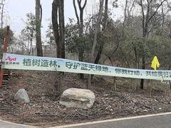 -青龙山国家森林公园