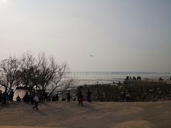 景点-宝安西湾红树林湿地公园