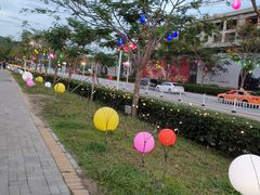 -三亚红色娘子军演艺公园景区