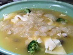 芙蓉鱼肚-芙蓉凰花园酒楼