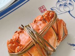 -乡乐园蟹庄·阳澄湖农家乐