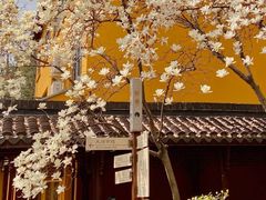 -龙华寺