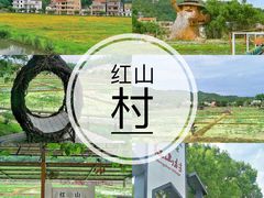 -红山村
