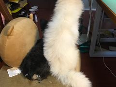 -零几体验diy皮具工作室(振业城店)
