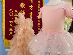-美育少儿中国舞·钢琴·声乐艺术中心(枫蓝购物中心店)