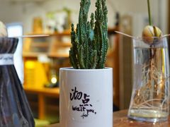 -沏点Trattoria意大利餐厅(新街口店)