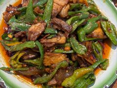 家常苕皮回锅肉-佬缸炮江湖川菜(玉林店)