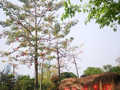 -厦门园林博览苑