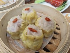 -添运来(茶园奥园广场店)