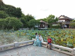 -惠州西湖丰渚园