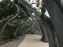 -布里斯班南岸公园