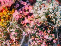 -循礼门鲜花花市(武汉循礼门店)