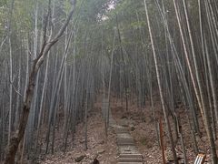 -穹窿山景区