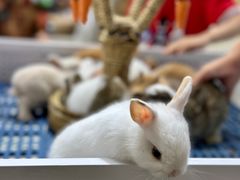 -三旗百汇商品城