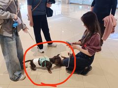 -CityOn熙地港西安购物中心