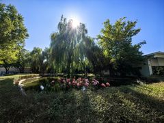 -石家庄市动物园