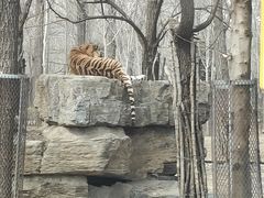 -秦皇岛野生动物园