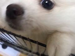 -丸摩堂鲜果茶(九方店)