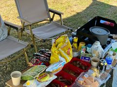 -春花秋色城市公园