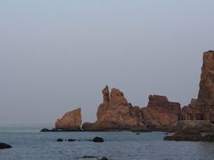 -长岛万鸟岛