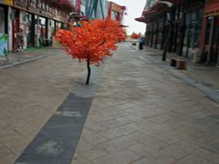 -宋记粥铺家常菜·米饭套餐·粤式早点(宽城万达店)