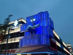-上海海昌海洋公园
