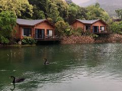 -杭州开元森泊度假乐园