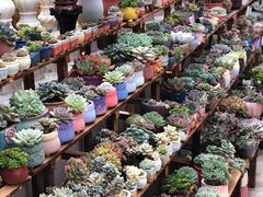 -旧屋咖啡(海景店)