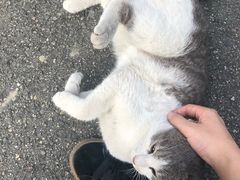 -四川大学(华西校区)