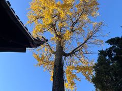 -狼山风景名胜区