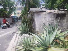 -三亚西岛海洋文化旅游区
