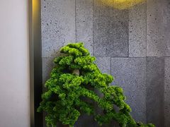 -39°·叁十九度·浴足SPA(龙湖滨江天街总店)