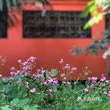 去省人民医院看病，顺便来逛逛，清凉寺还没开门
