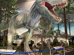 -湖南省地质博物馆