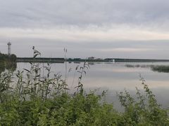 -洪湖湿地生态园